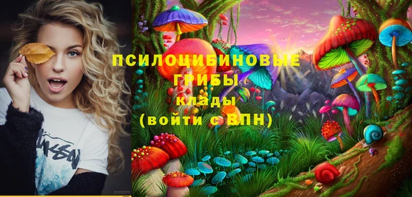 гидропоника Балабаново