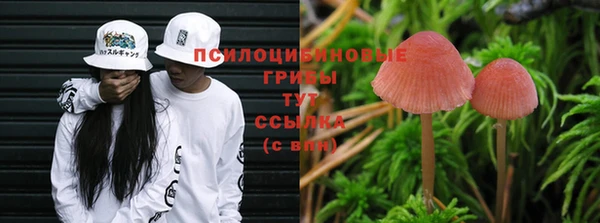 гидропоника Балабаново