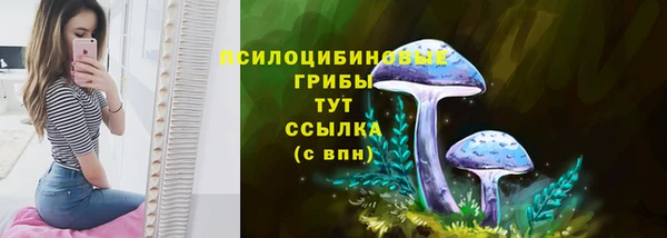 гидропоника Балабаново