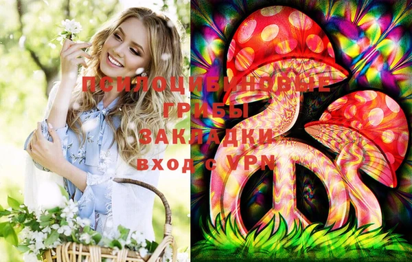 Альфа ПВП Баксан
