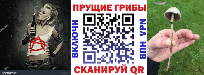 Галлюциногенные грибы ЛСД  Борисоглебск 